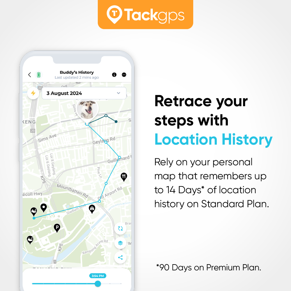 Tack GPS Tracker (Roaming in 30+ countries)